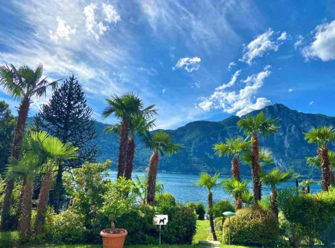 Bellavista Apartment Bissone Bagian luar foto