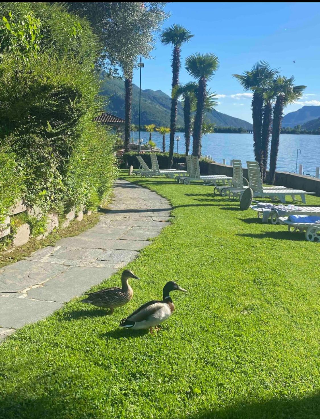Bellavista Apartment Bissone Bagian luar foto